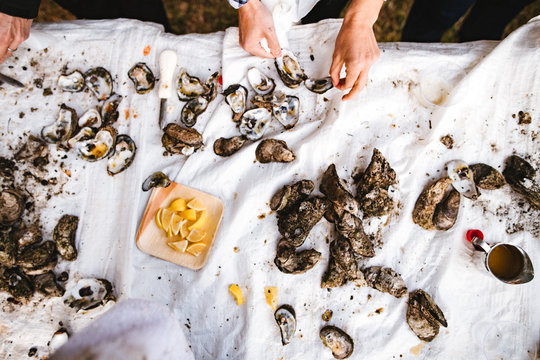 Guests shucking oysters at an oyster roast