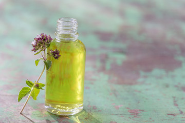 Oregani.Pure eucalyptus essential oil in a transparent bottle and a branch of eucalyptus on the top, green backgroud