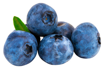 Obraz premium Blueberries isolated on white background. Clipping path