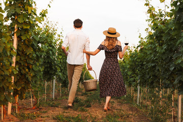 Loving couple outdoors drinking wine holding basket with bottles.