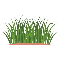 Bunches of green grass on an earthen mound. Design of summer cards. Flat cartoon illustration. Objects isolated on a white background.
