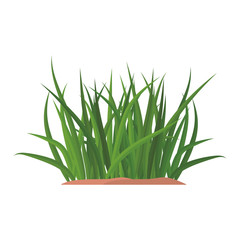 Bunches of green grass on an earthen mound. Design of summer cards. Flat cartoon illustration. Objects isolated on a white background.