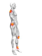 Obraz premium Conceptual human muscle anatomy with red and yellow hot spot inflammation or articular joint pain for health care therapy or sport concepts. 3D illustration man arthritis or bone osteoporosis disease