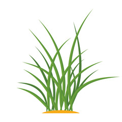 Bunches of green grass on an earthen mound. Design of summer cards. Flat cartoon illustration. Objects isolated on a white background.