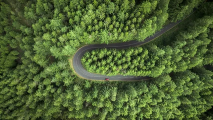 Papier Peint photo Lavable Couleur pistache Vue aérienne de la route en forêt