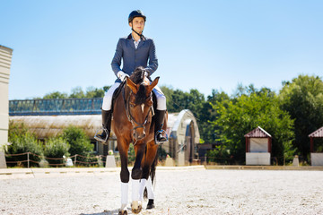 Promising equestrian. Young promising equestrian feeling excited while training on big spacious...
