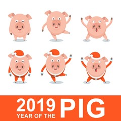 Set of funny merry pig in Santa Claus costume, a character for greeting cards and advertising for Christmas and New Year.