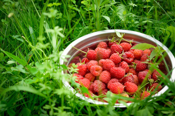 Pink fresh raspberries in an iron vessel in the garden on the background of green grass Berry Fruit Sadovina Healthy Food hack close up