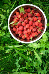 Pink fresh raspberries in an iron vessel in the garden on the background of green grass Berry Fruit Sadovina Healthy Food hack close up
