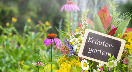 Schild: Kräutergarten mit vielen Heil- und Arzneipflanzen
