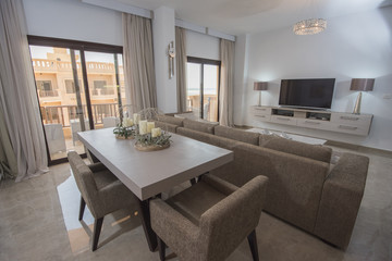 Interior design of luxury apartment living room