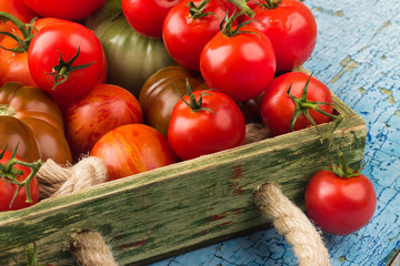 Different tomatoes in the tray on the wooden background