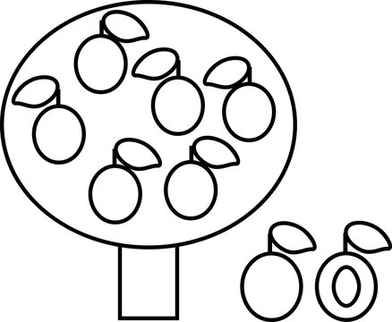 Coloring page. Stylized cartoon plum tree with fruits in flat style