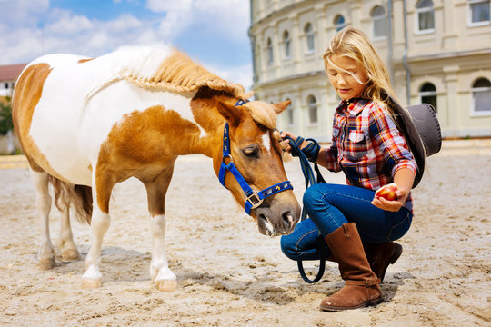 Feeding horse. Cute blonde-haired girl wearing stylish brown leather riding boots feeding horse
