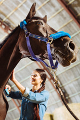 Fototapeta na wymiar Touching horse. Cheerful woman smiling broadly and feeling happy while touching dark racing horse