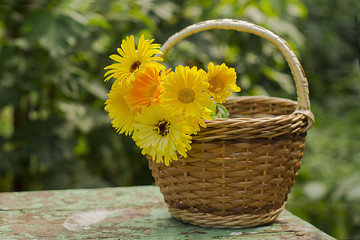 Flowers in a basket in the garden