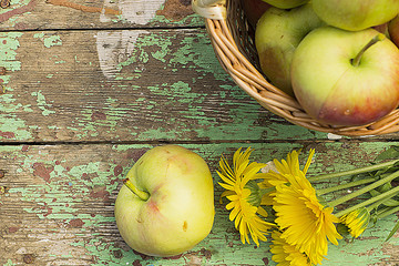 The apples in the basket