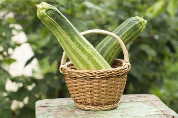 The zucchini in the basket