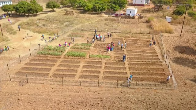 Africans and Americans Build a Garden Together as a Community, Wide Arc Drone Shot