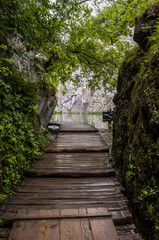 Fototapeta na wymiar Croazia, 28/06/2018: una passerella di legno nel Parco nazionale dei laghi di Plitvice, uno dei parchi più antichi dello stato al confine con la Bosnia Erzegovina