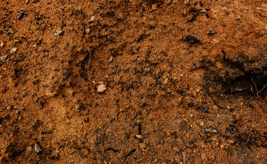 Clay soil. Yellow soil. Clay soil texture. Clay soil background. Brown earth.