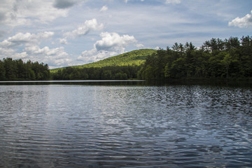 See in Wald in Neu England