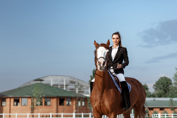 Rider elegant woman riding her horse outside