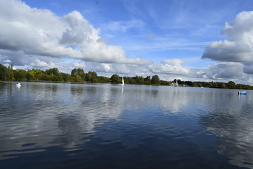 Landscape of a lake with clouds and swan