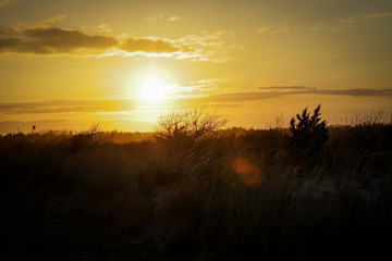 Sunset beyond the field 2