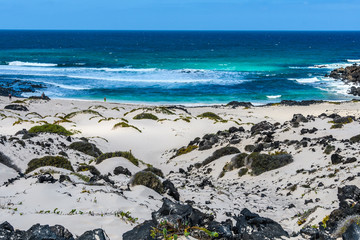 White sand beach in Caletón Blanco in Lanzarote, Spain