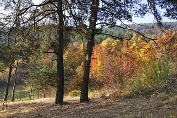 Landscape near Bojnice. Slovakia