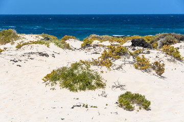 White sand beach in Caletón Blanco in Lanzarote, Spain