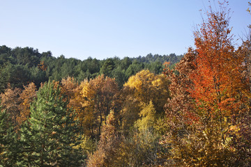 Landscape near Bojnice. Slovakia