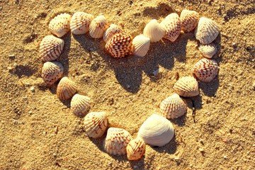 herz aus muscheln im sommer