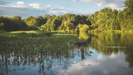 The shore of a quiet forest river.