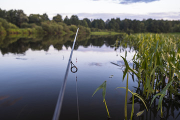 The shore of a quiet forest river.