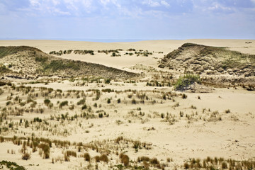 Fototapeta na wymiar Dunes at Curonian Spit. Kaliningrad Oblast. Russia