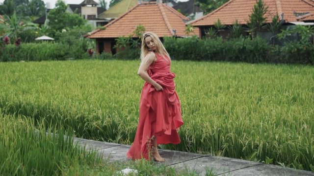 A beautiful young girl with long blond hair wears a long red dress, walks around the rice field, whirls, holds her long skirt, dances and makes choreographic movements. Enjoys his body under the warm