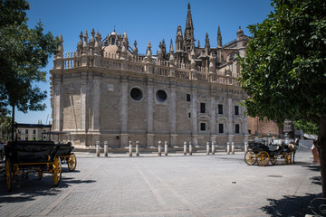 Naklejka premium Seville Cathedral Spain