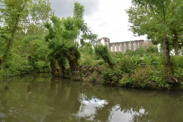 Fototapeta na wymiar Abbaye Saint-Pierre vue d'une promenade en barque sur les canaux du marais poitevin à Maillezais en Vendée.