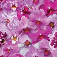 Foto op Plexiglas Orchidee Orchideeën Patroon Naadloze Bloem Achtergrond