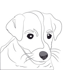 dog portrait, lines, vector