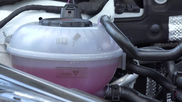 Closeup On An Engine Cooling System Under A Car Hood