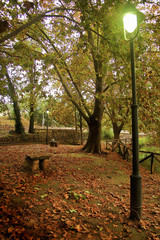 Farola y banco en un parque en otoño