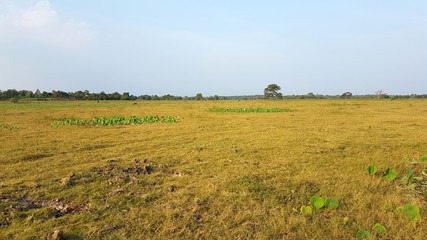 Dryed out Lake in Kalpitiya