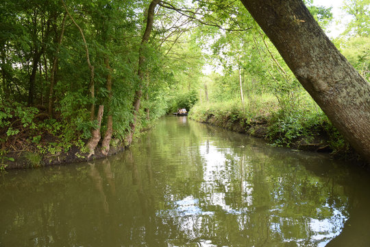 Promenade en barque sur les canaux du marais poitevin &agrave; Maillezais en Vend&eacute;e.