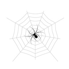 Fototapeta premium Spider web and isolated on white background. Design element for Halloween. Vector illustration.
