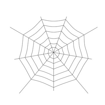 Cobweb isolated on white background. Vector illustration.