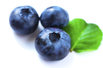Blueberries on white background