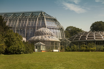 Fototapeta na wymiar Botanical garden in Berlin, Germany
